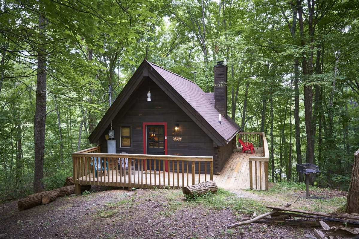 Wild Columbine photo 25