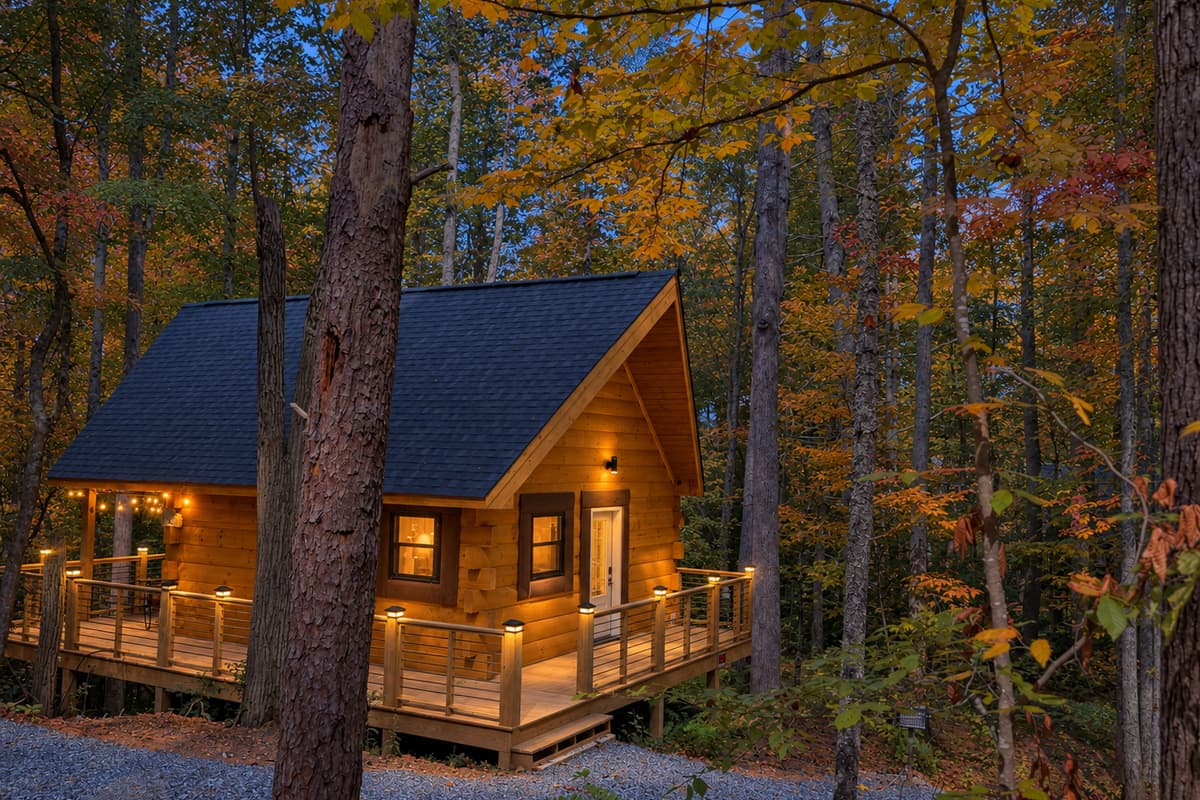 Golden Forest photo 1